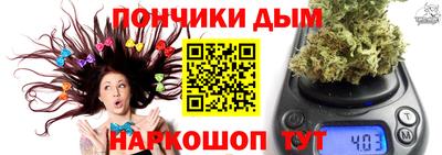 Альфа ПВП Кингисепп