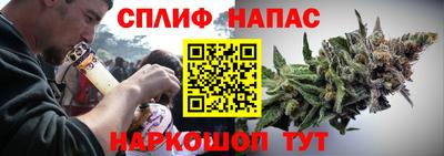 индика Кинель