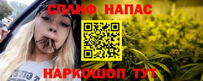 Альфа ПВП Кингисепп