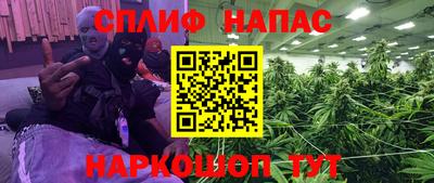 индика Кинель